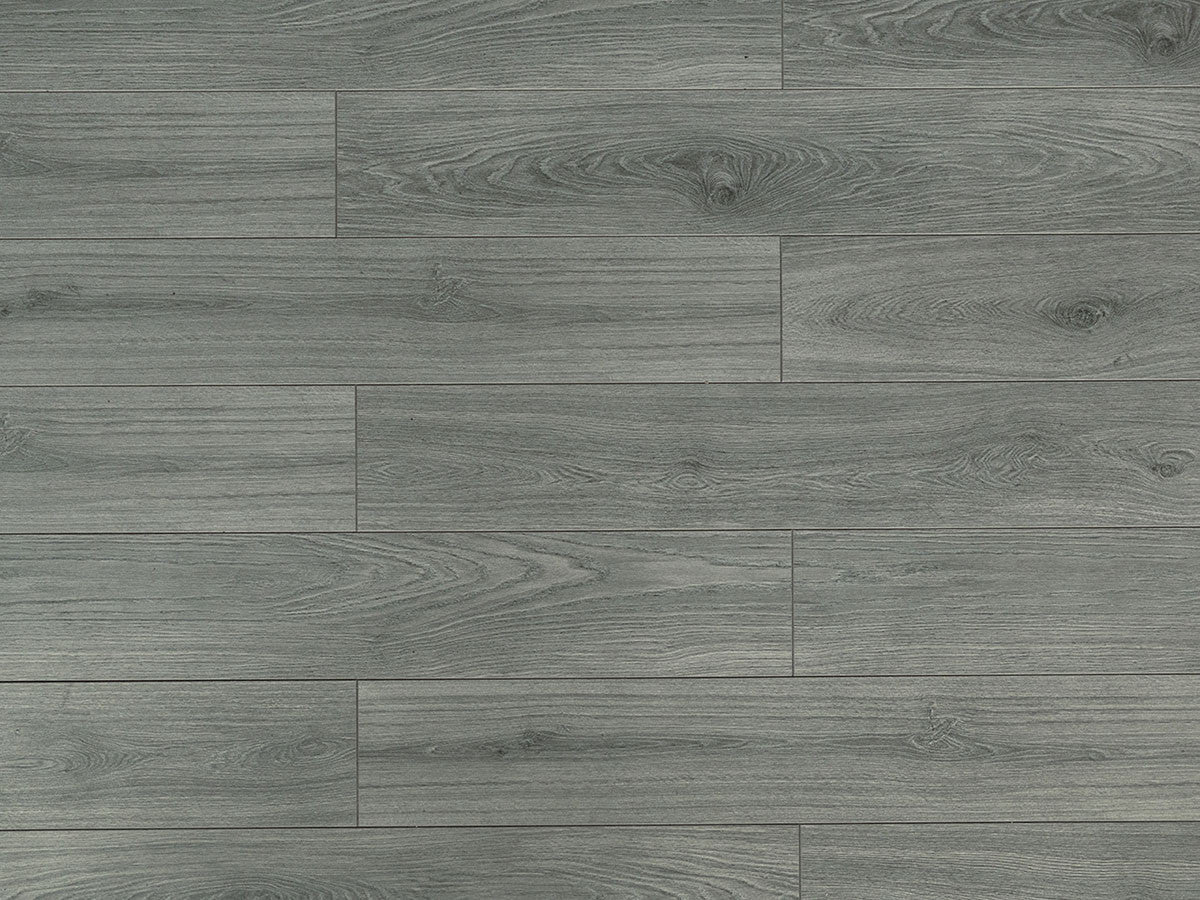 Toucan Laminate - TF6310 - F - TF 6310 - D & R Flooring