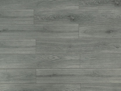 Toucan Laminate - TF6310 - F - TF 6310 - D & R Flooring