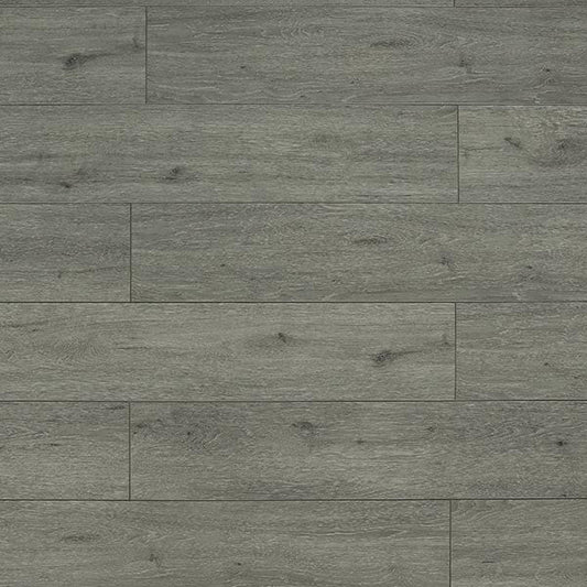 Toucan Laminate - TF6311 - F - TF 6311 - D & R Flooring