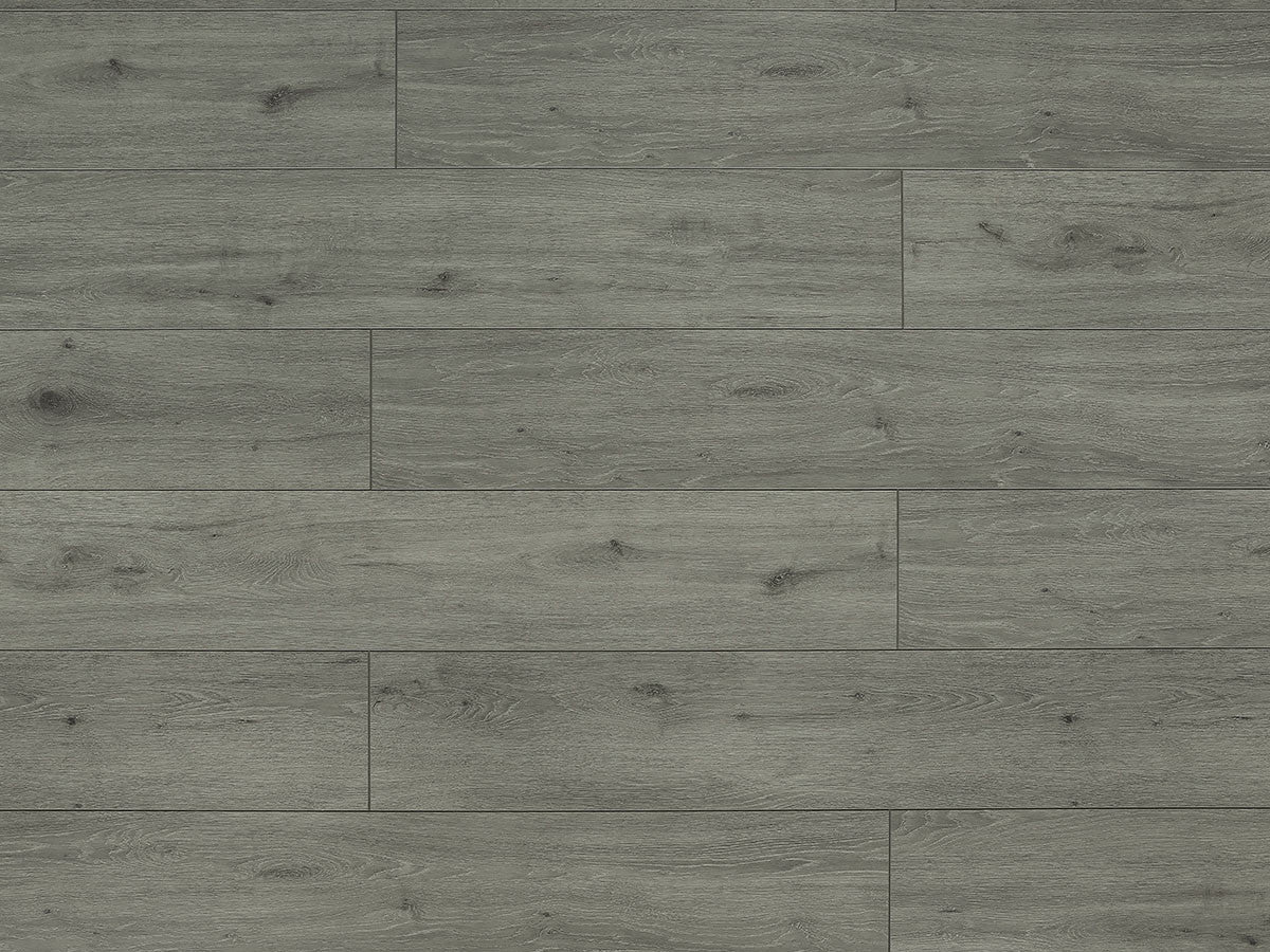 Toucan Laminate - TF6311 - F - TF 6311 - D & R Flooring