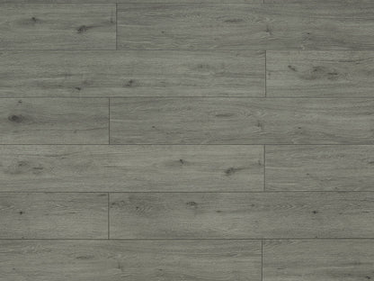 Toucan Laminate - TF6311 - F - TF 6311 - D & R Flooring