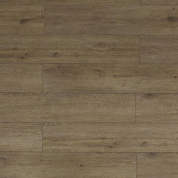 Toucan Laminate - TF6312 - F - TF 6312 - D & R Flooring