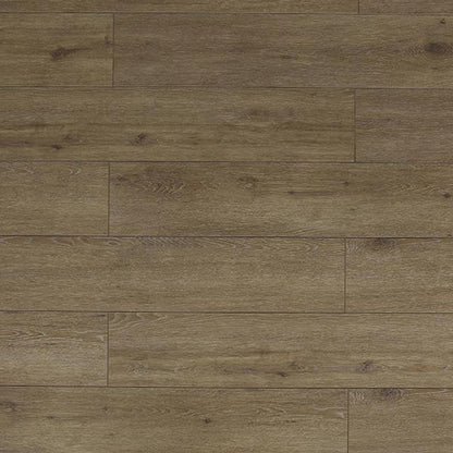 Toucan Laminate - TF6312 - F - TF 6312 - D & R Flooring