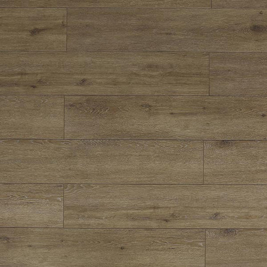 Toucan Laminate - TF6312 - F - TF 6312 - D & R Flooring