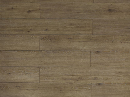 Toucan Laminate - TF6312 - F - TF 6312 - D & R Flooring