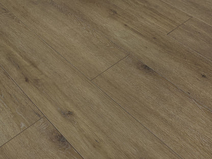 Toucan Laminate - TF6312 - F - TF 6312 - D & R Flooring