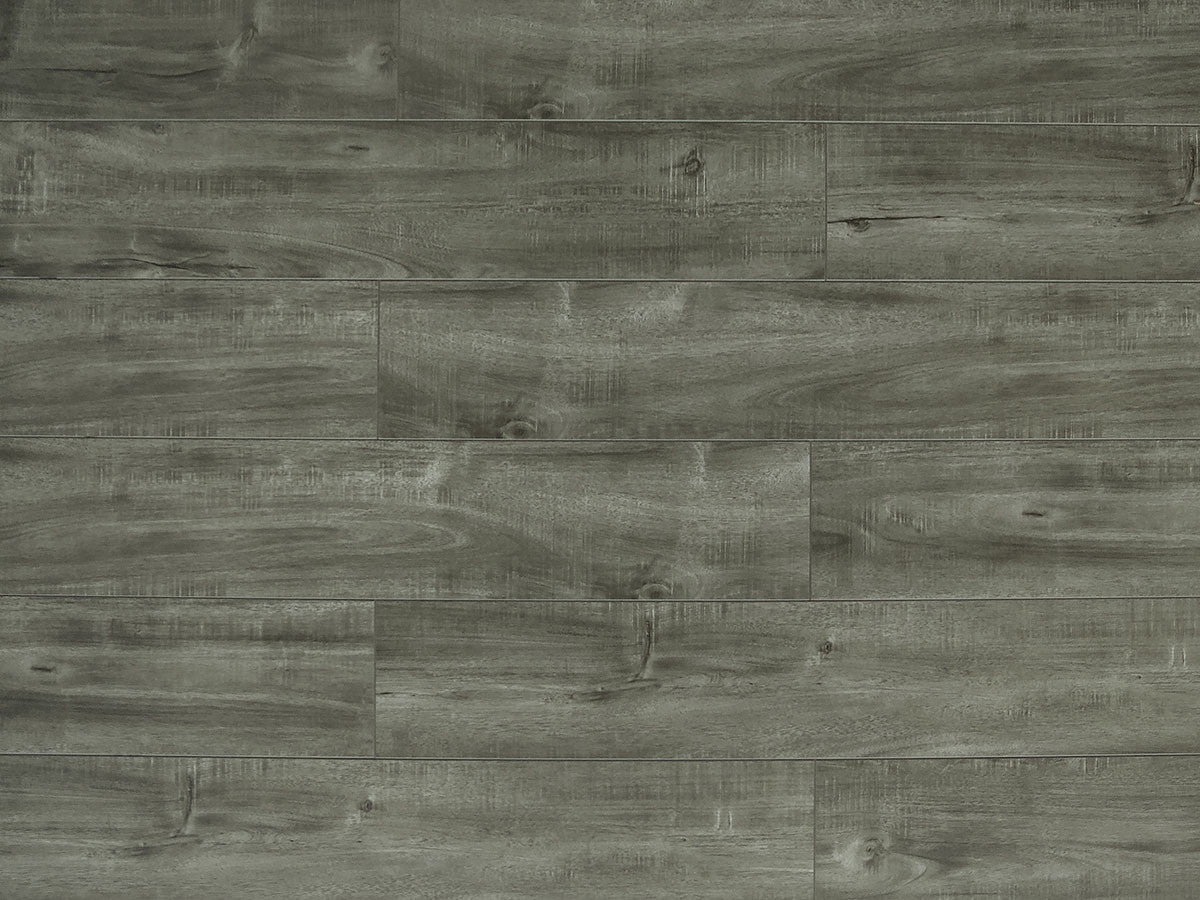 Toucan Laminate - TF6313 - F - TF 6313 - D & R Flooring