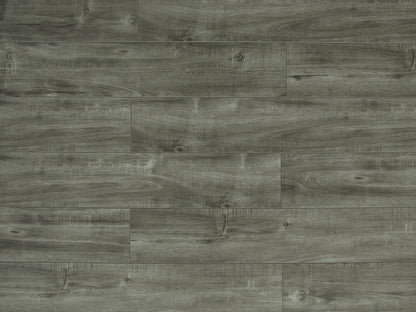 Toucan Laminate - TF6313 - F - TF 6313 - D & R Flooring