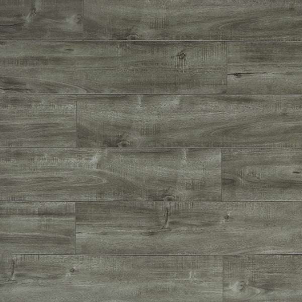 Toucan Laminate - TF6313 - F - TF 6313 - D & R Flooring