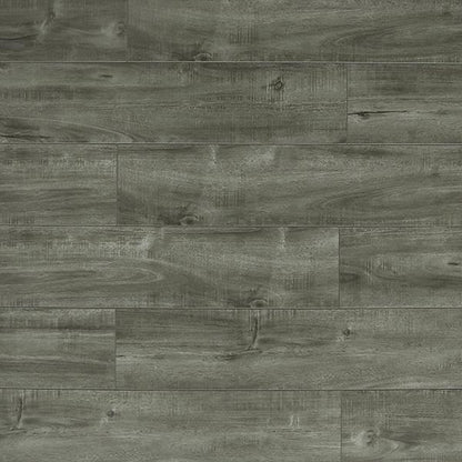 Toucan Laminate - TF6313 - F - TF 6313 - D & R Flooring