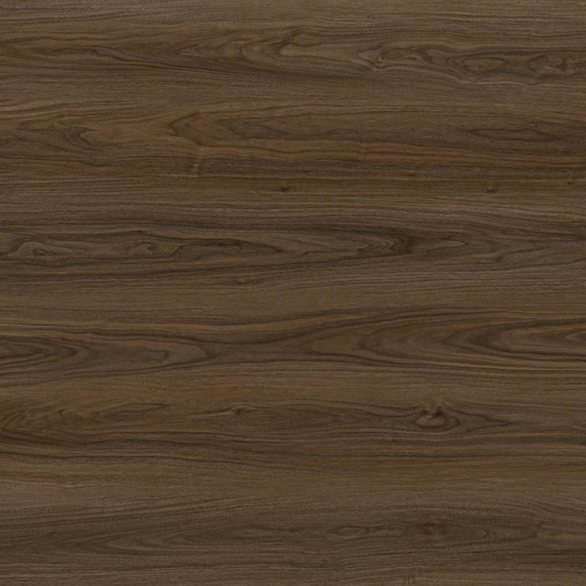 Toucan Laminate - TF6601 - F - TF 6601 Mesilla - D & R Flooring