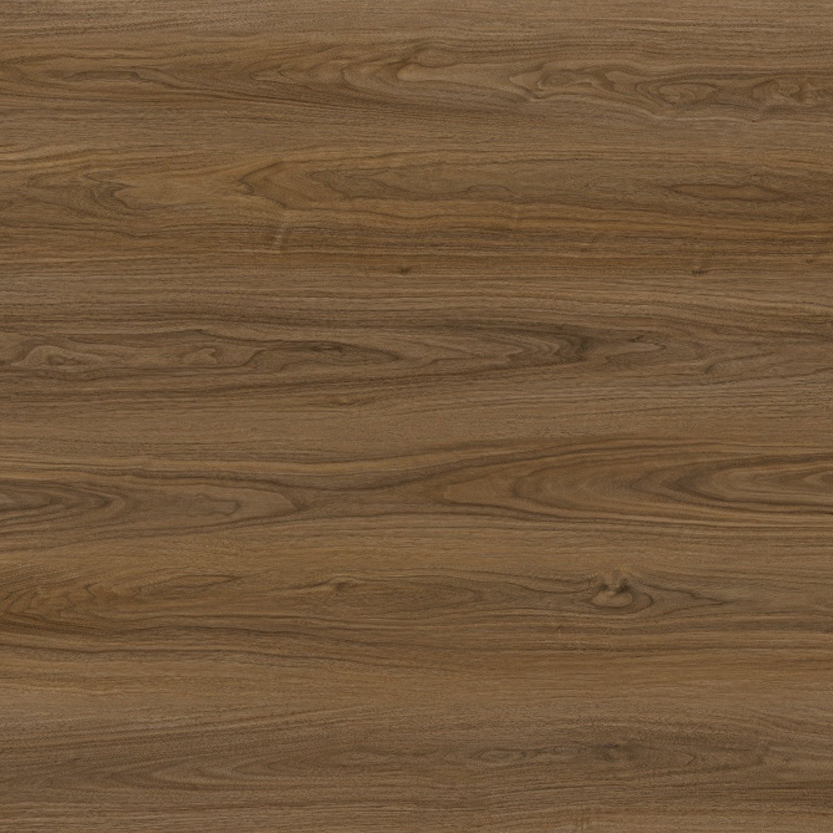 Toucan Laminate - TF6602 - F - TF 6602 Santas Rosa - D & R Flooring