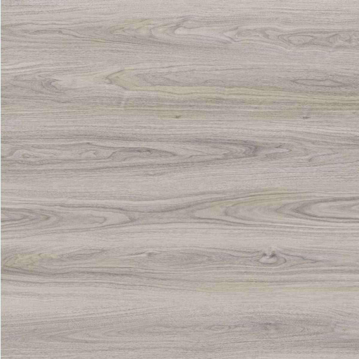 Toucan Laminate - TF6604 - F - TF 6604 Roswell - D & R Flooring