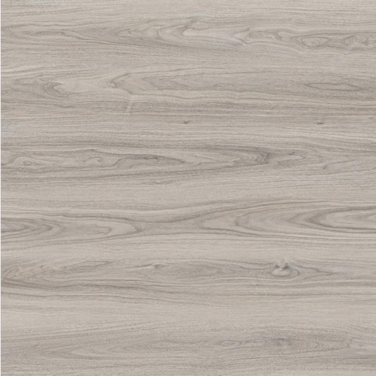 Toucan Laminate - TF6604 - F - TF 6604 Roswell - D & R Flooring