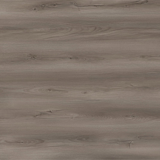 Toucan Laminate - TF6605 - F - TF 6605 Taos - D & R Flooring
