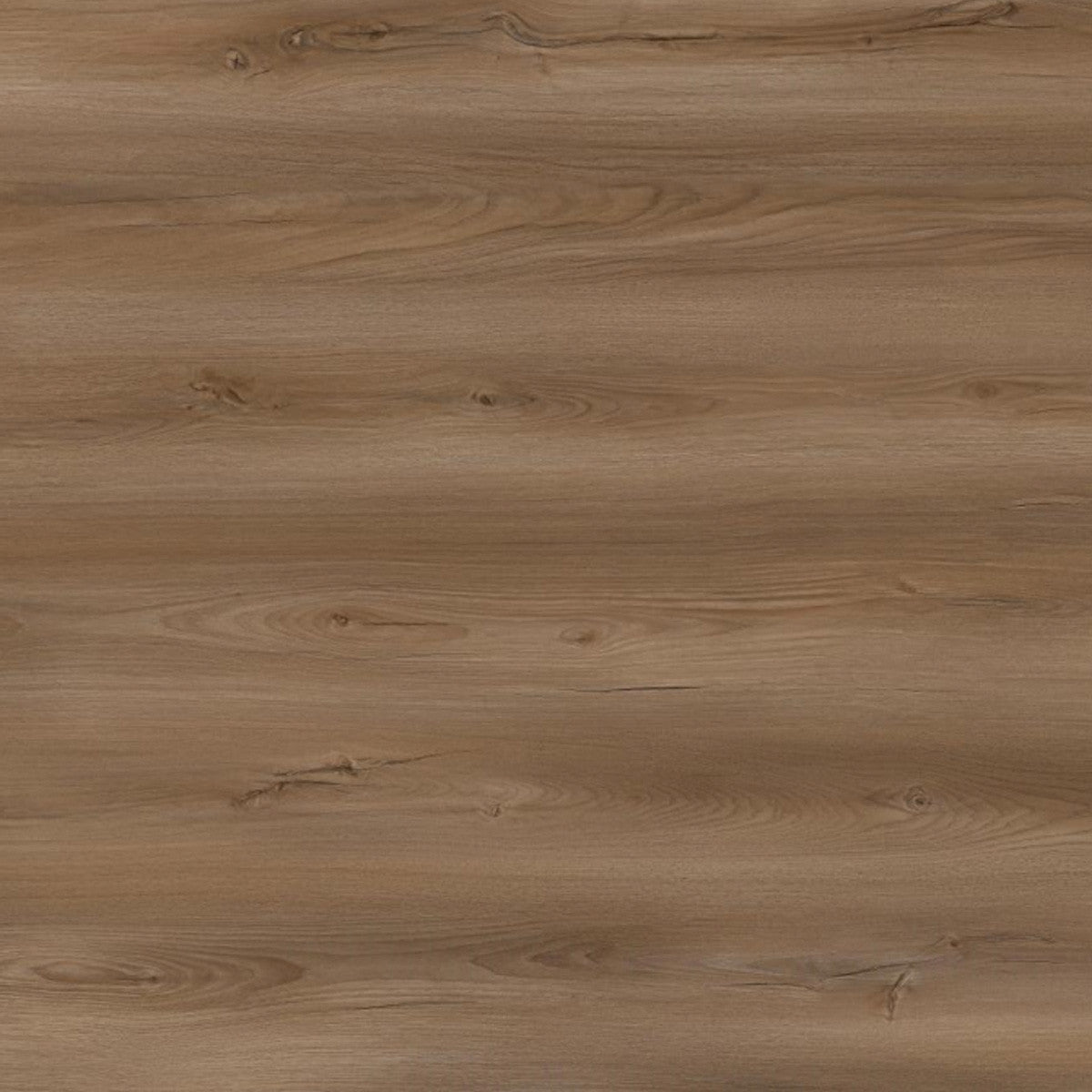 Toucan Laminate - TF6606 - F - TF 6606 Cedar Crest - D & R Flooring