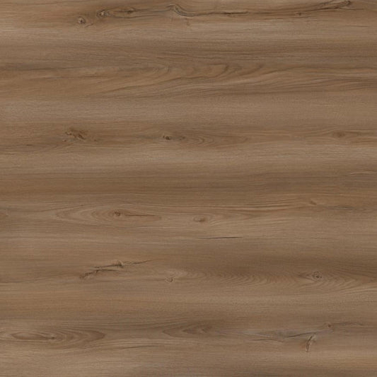 Toucan Laminate - TF6606 - F - TF 6606 Cedar Crest - D & R Flooring