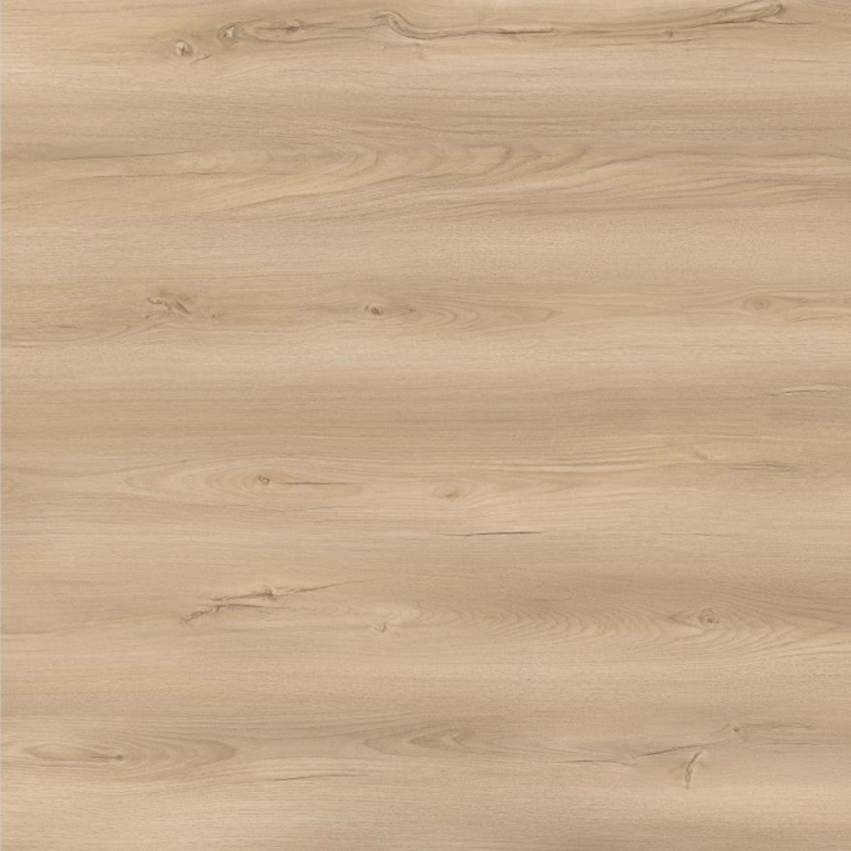 Toucan Laminate - TF6607 - F - TF 6607 Edgewood - D & R Flooring