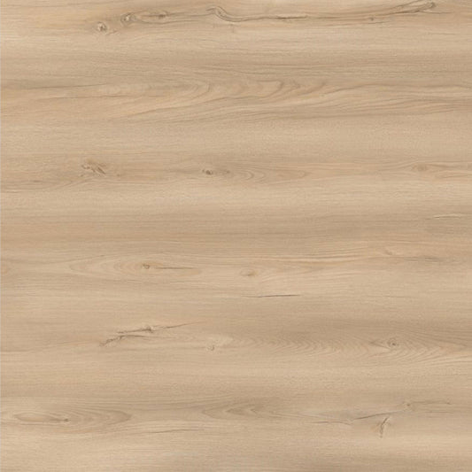 Toucan Laminate - TF6607 - F - TF 6607 Edgewood - D & R Flooring
