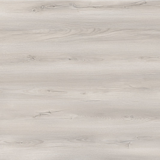 Toucan Laminate - TF6608 - F - TF 6608 Silver City - D & R Flooring