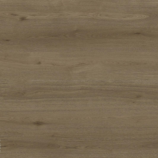 Toucan Laminate - TF6609 - F - TF 6609 Reserve - D & R Flooring