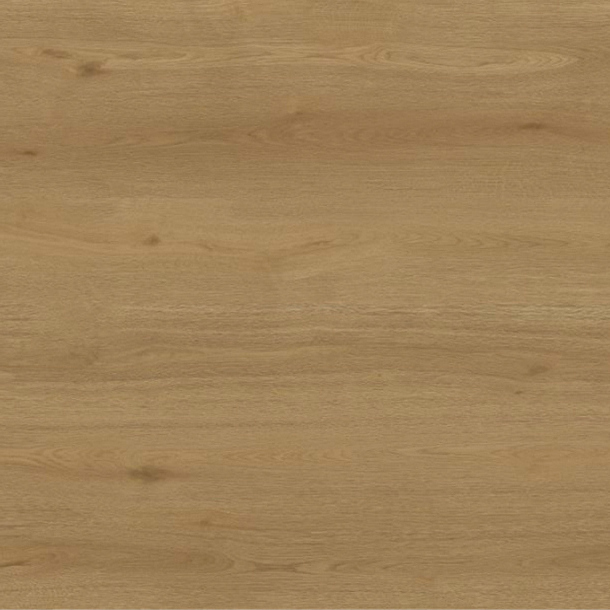 Toucan Laminate - TF6610 - F - TF 6610 Gila - D & R Flooring