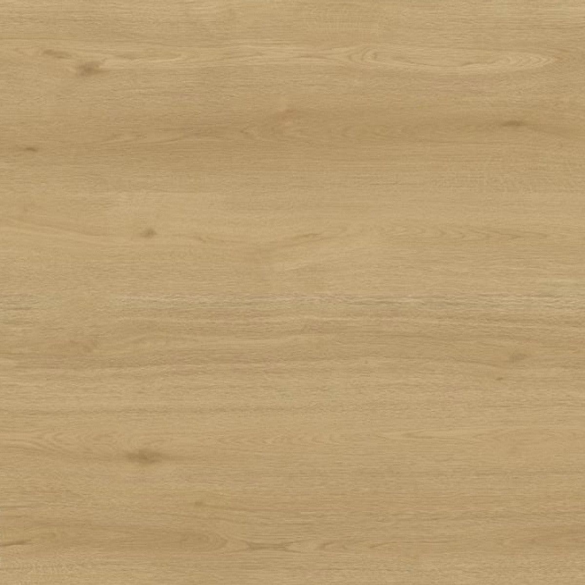 Toucan Laminate - TF6611 - F - TF 6611 Las Cruces - D & R Flooring