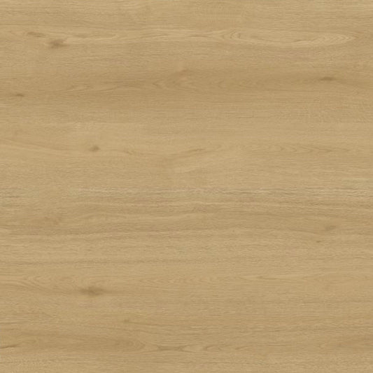 Toucan Laminate - TF6611 - F - TF 6611 Las Cruces - D & R Flooring