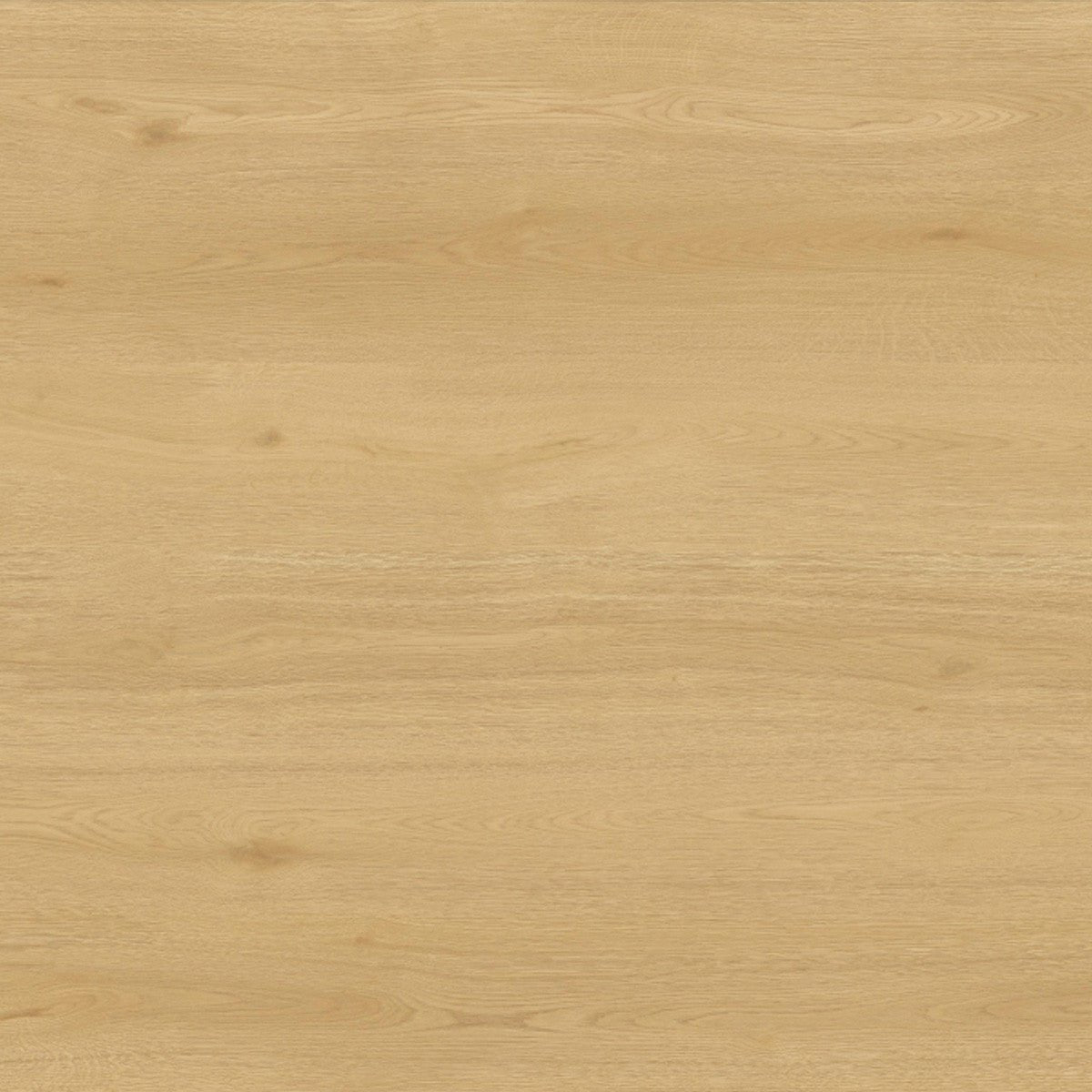 Toucan Laminate - TF6612 - F - TF 6612 Melrose - D & R Flooring