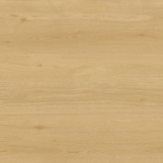 Toucan Laminate - TF6612 - F - TF 6612 Melrose - D & R Flooring