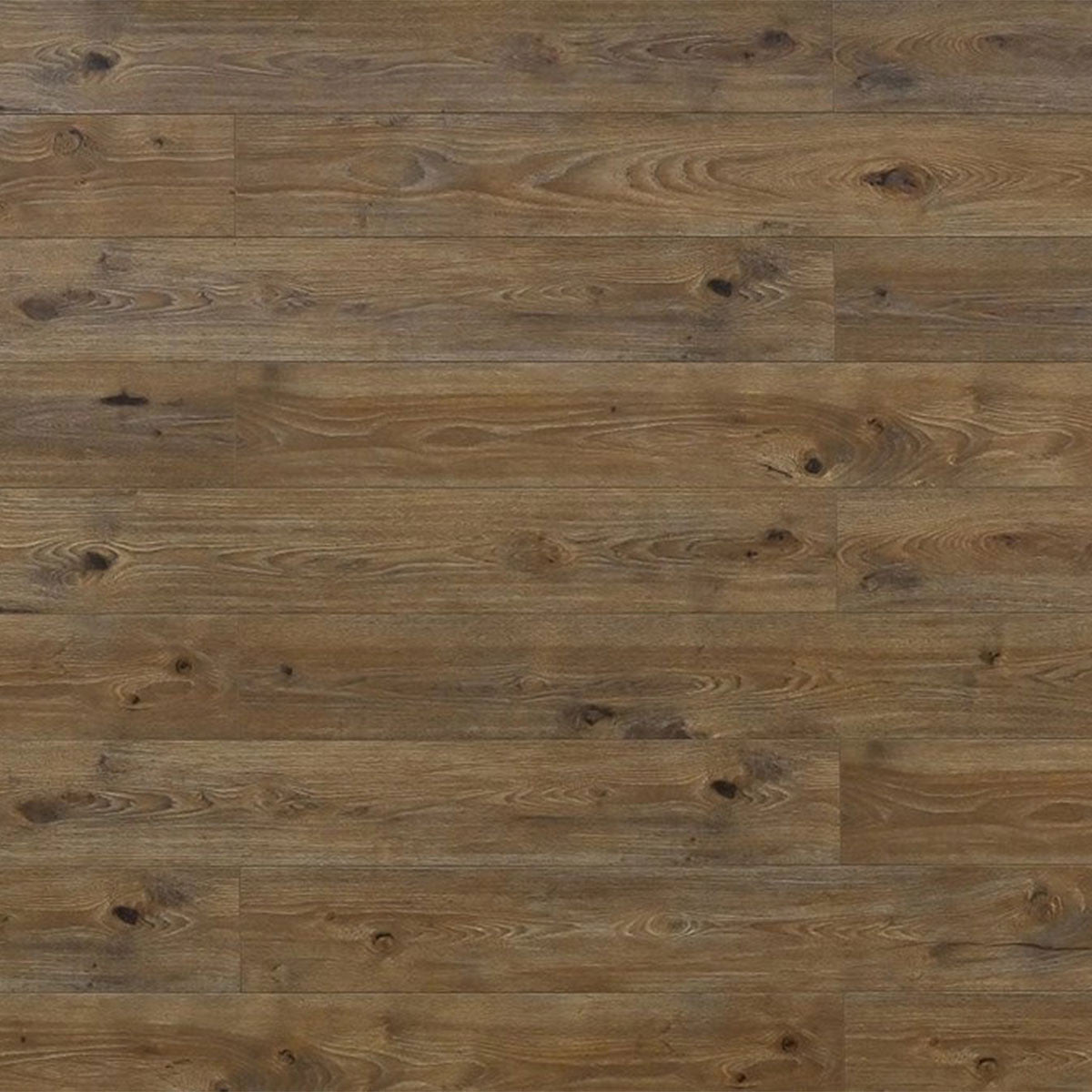 Toucan Laminate Waterproof - TF8002 - TF 8002 - D & R Flooring