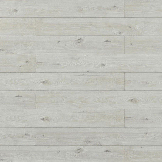 Toucan Laminate Waterproof - TF8004 - TF 8004 - D & R Flooring
