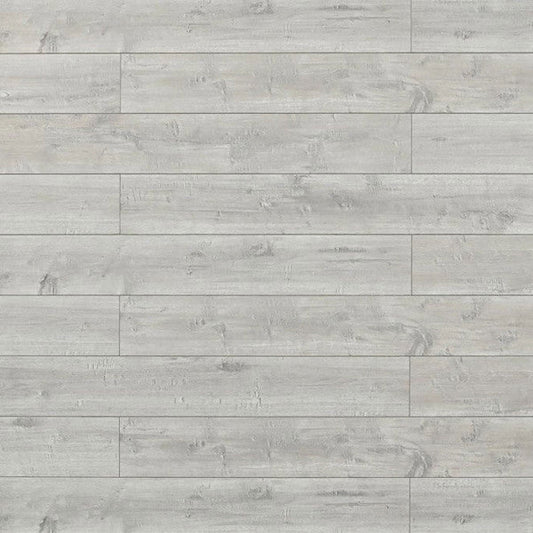 Toucan Laminate Waterproof - TF8008 - TF 8008 - D & R Flooring