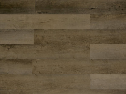 Toucan Luxury Vinyl TFL 604 - TFL604 - D & R Flooring
