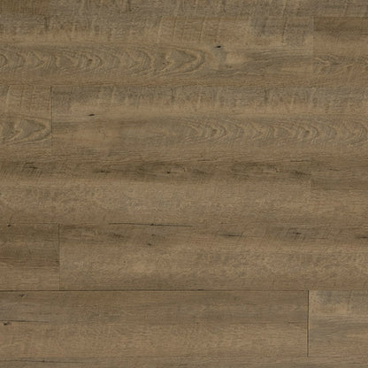 Toucan Luxury Vinyl TFL 605 - TFL605 - D & R Flooring