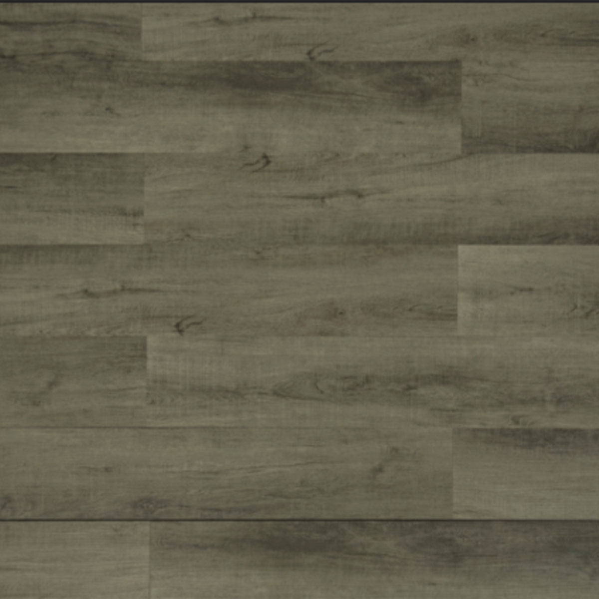 Toucan Luxury Vinyl TFL 606 - TFL606 - D & R Flooring
