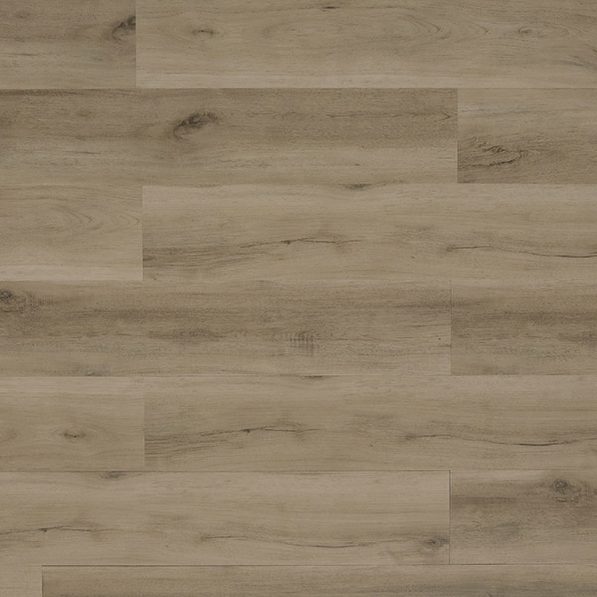 Toucan Luxury Vinyl TFL 607 - TFL607 - D & R Flooring