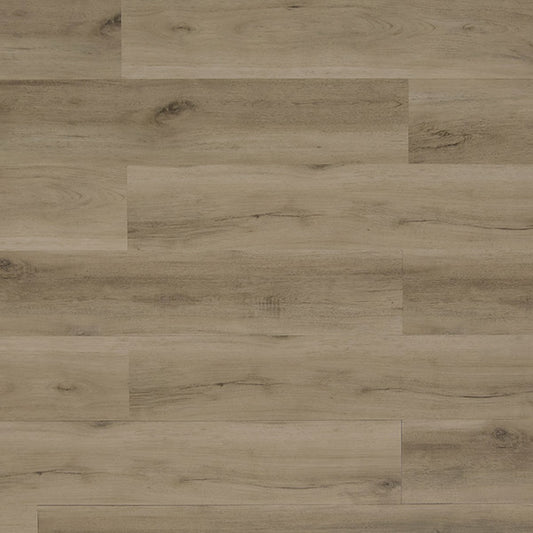 Toucan Luxury Vinyl TFL 607 - TFL607 - D & R Flooring