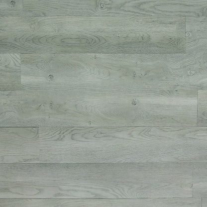 Toucan Luxury Vinyl TFL 608 - TFL608 - D & R Flooring