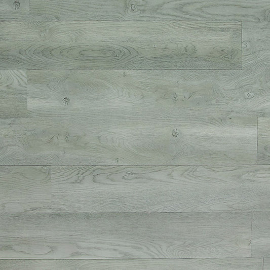 Toucan Luxury Vinyl TFL 608 - TFL608 - D & R Flooring