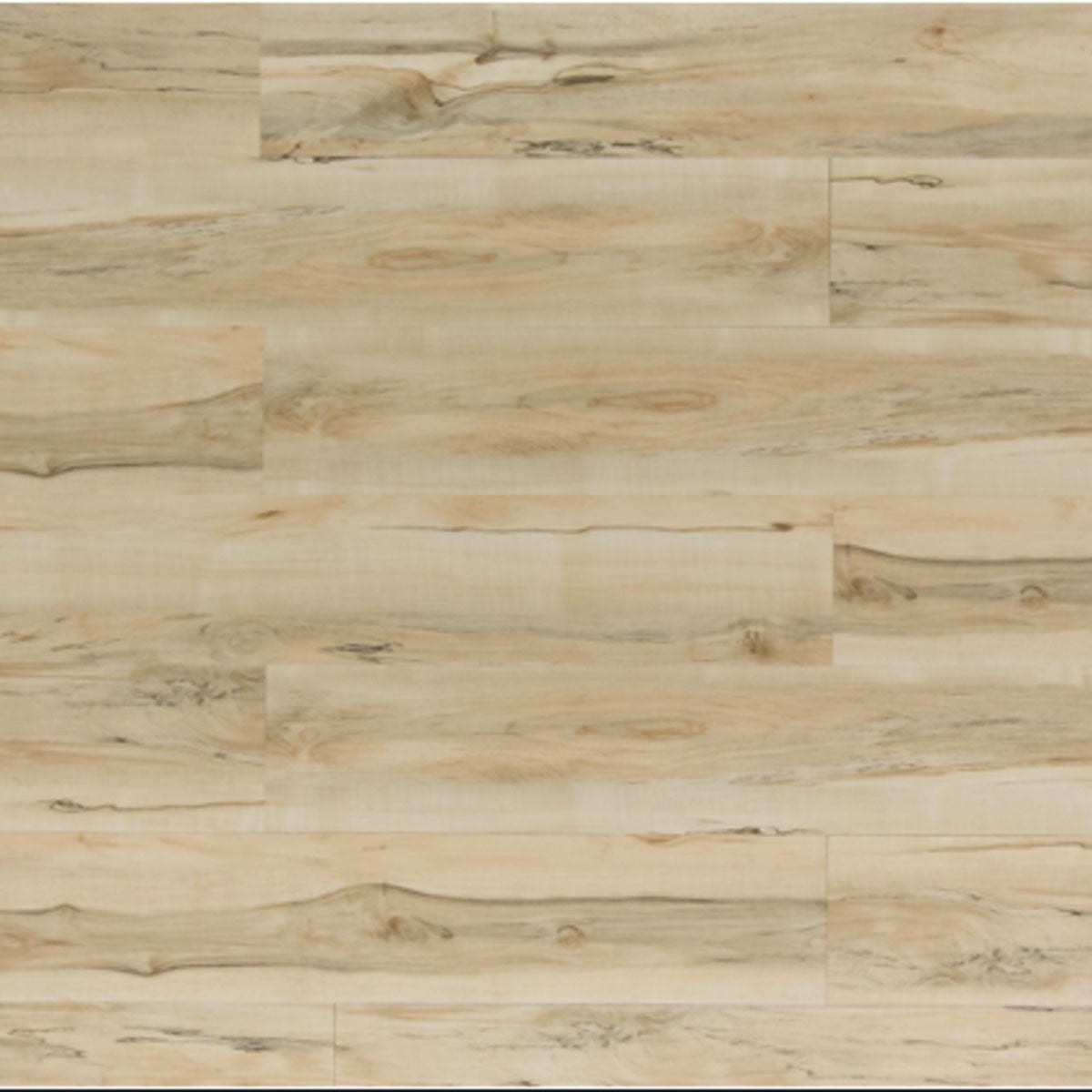 Toucan Luxury Vinyl TFL 610 - TFL610 - D & R Flooring