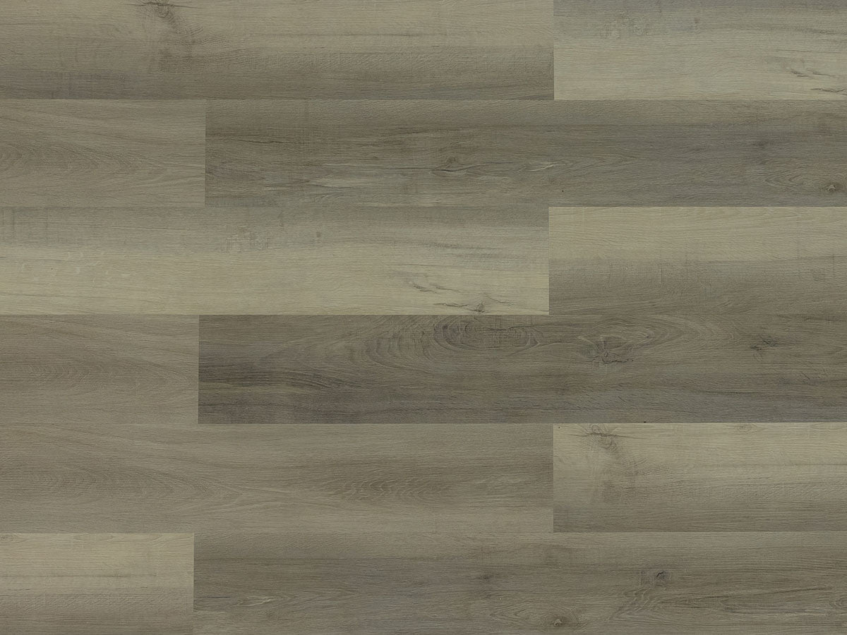 Toucan Vinyl SPC - TFSPC 111P - F - TFSPC111 - D & R Flooring