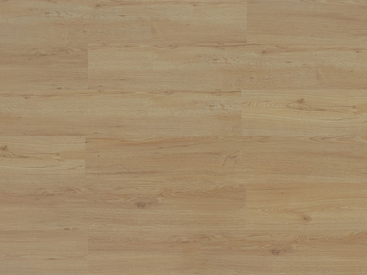 Toucan Vinyl SPC - TFSPC 122P - F - TFSPC122 - D & R Flooring