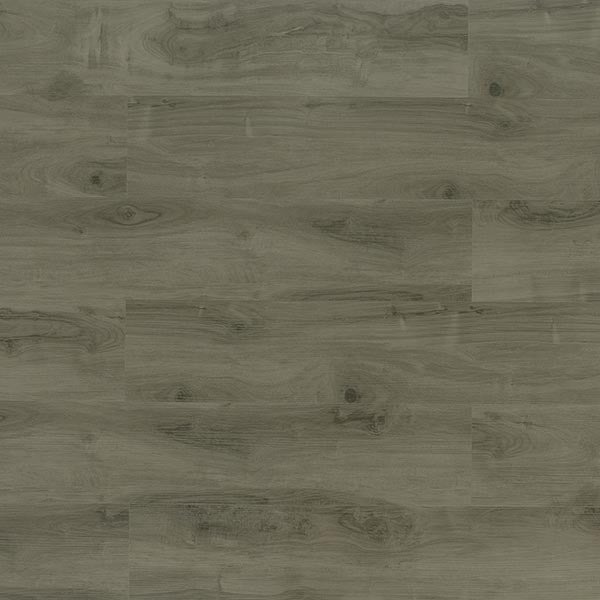 Toucan Vinyl SPC - TFSPC 203 - F - TFSPC203 - D & R Flooring