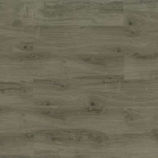 Toucan Vinyl SPC - TFSPC 203 - F - TFSPC203 - D & R Flooring