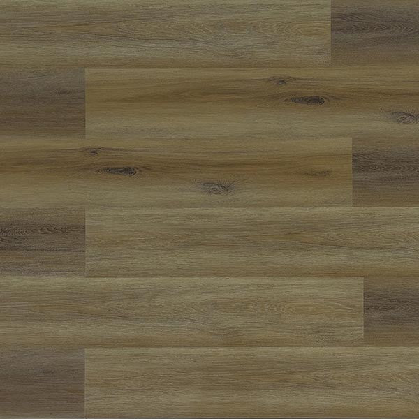 Toucan Vinyl SPC - TFSPC 205 - F - TFSPC205 - D & R Flooring