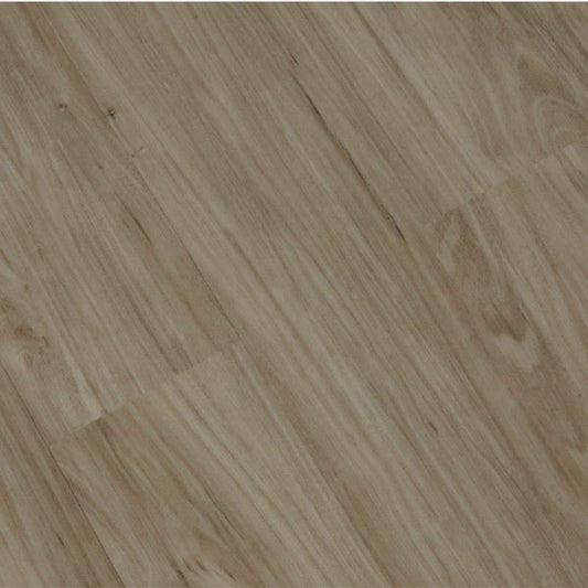 Toucan Vinyl SPC - TFSPC 210 - F - TFSPC210 - D & R Flooring