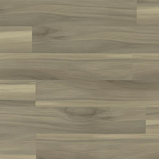 Toucan Vinyl SPC - TFSPC 211 - F - TFSPC211 - D & R Flooring
