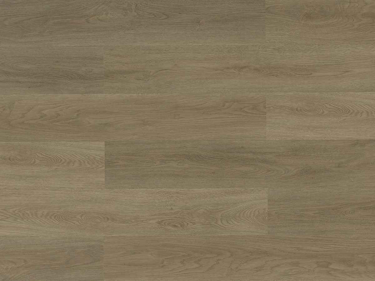Toucan Vinyl SPC - TFSPC 251 - F - TFSPC251 - D & R Flooring