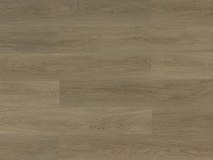 Toucan Vinyl SPC - TFSPC 251 - F - TFSPC251 - D & R Flooring